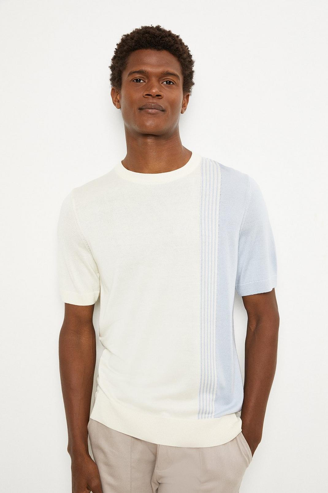 Slim Fit Ecru Stripe Panel Knitted T-shirt image number 1