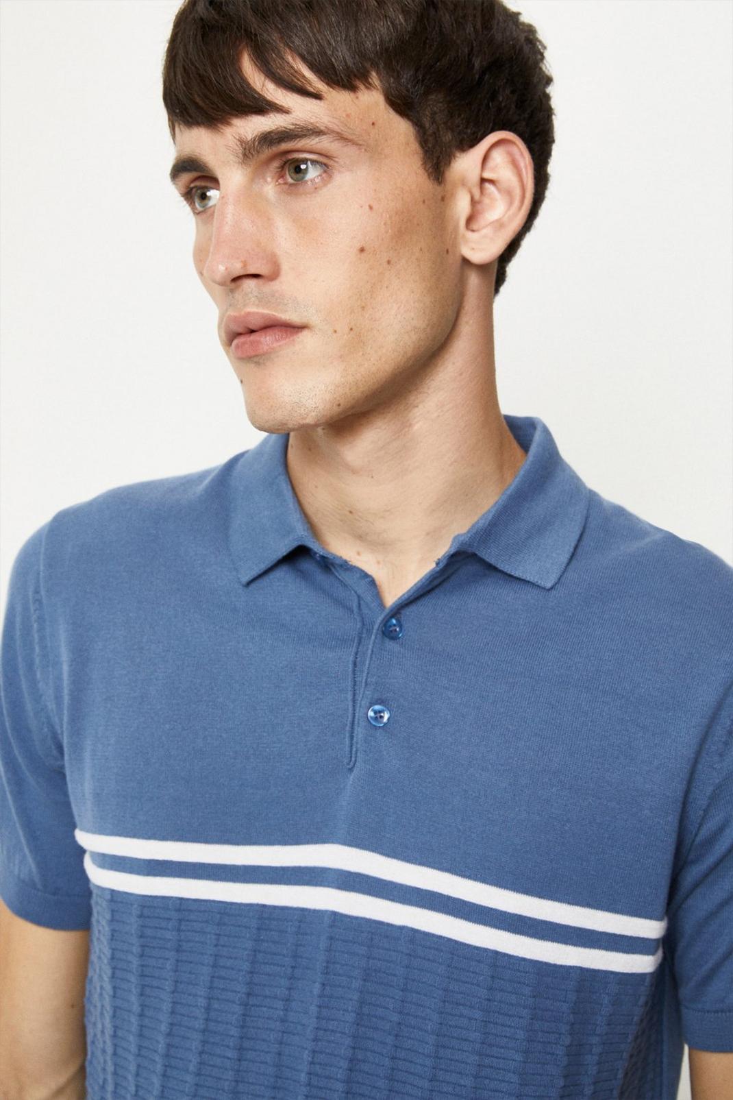Regular Fit Blue Chest Stripe Textured Polo image number 1