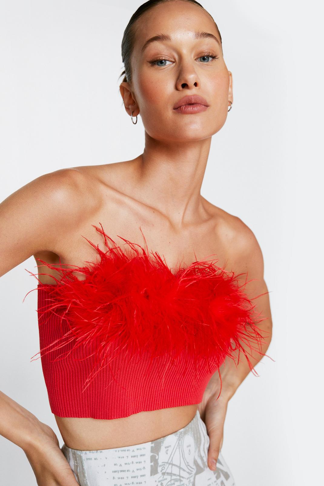 BuddyLove, Fancy Strapless Feather Crop Top