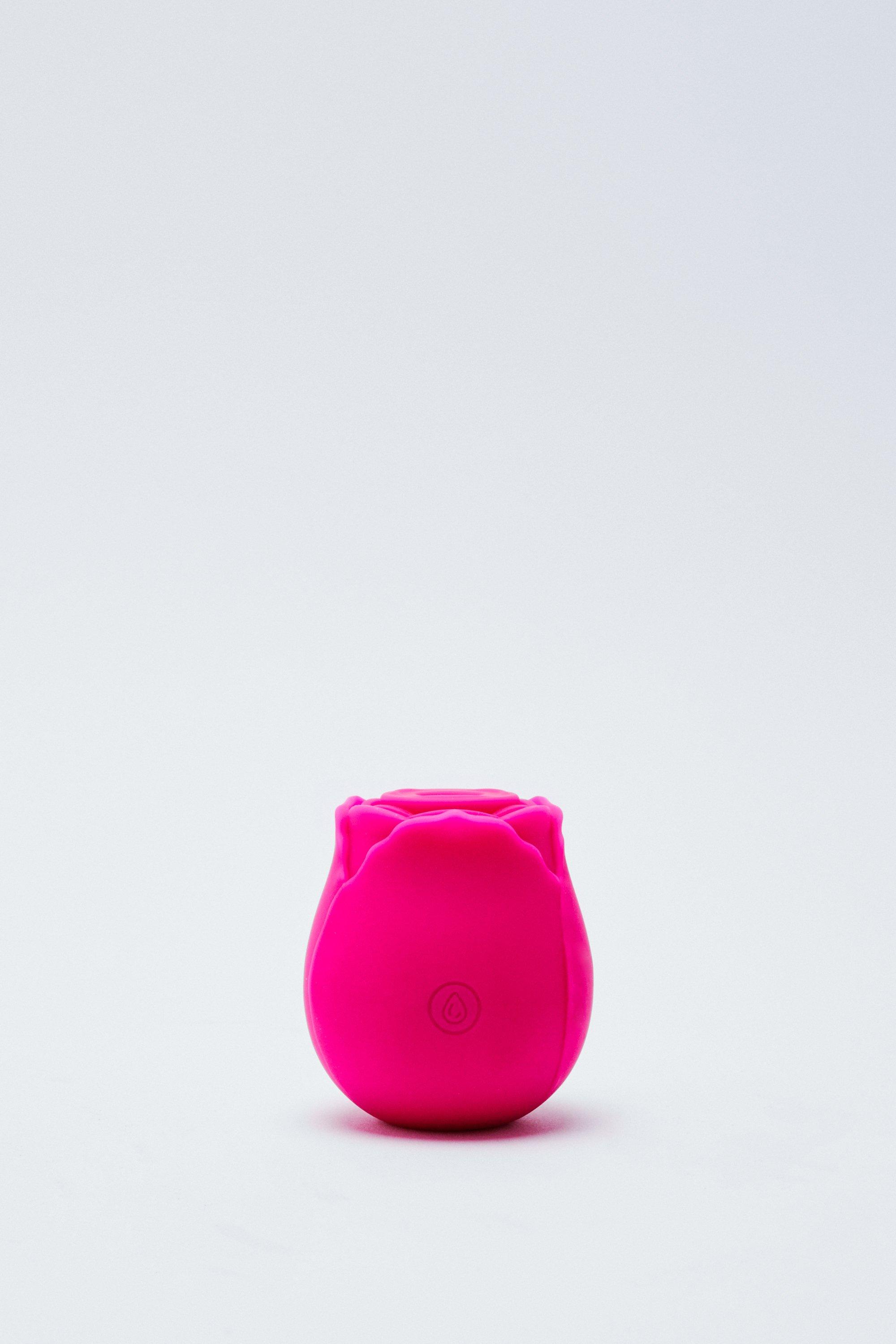 Rechargeable 10 Function Rose Sucker Sex Toy | Nasty Gal