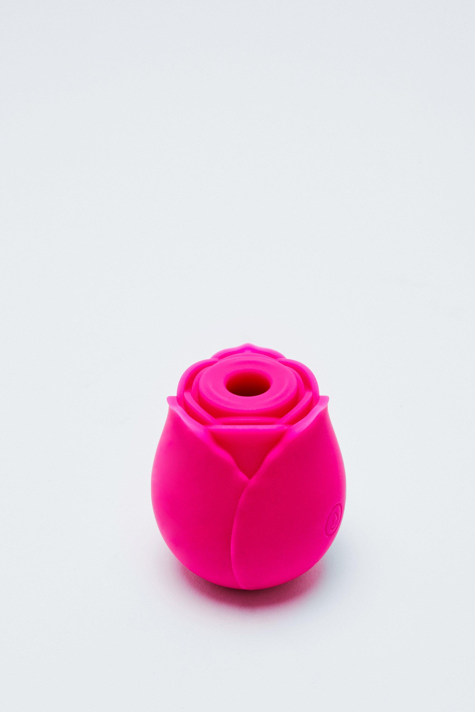 Rechargeable 10 Function Rose Sucker Sex Toy | Nasty Gal