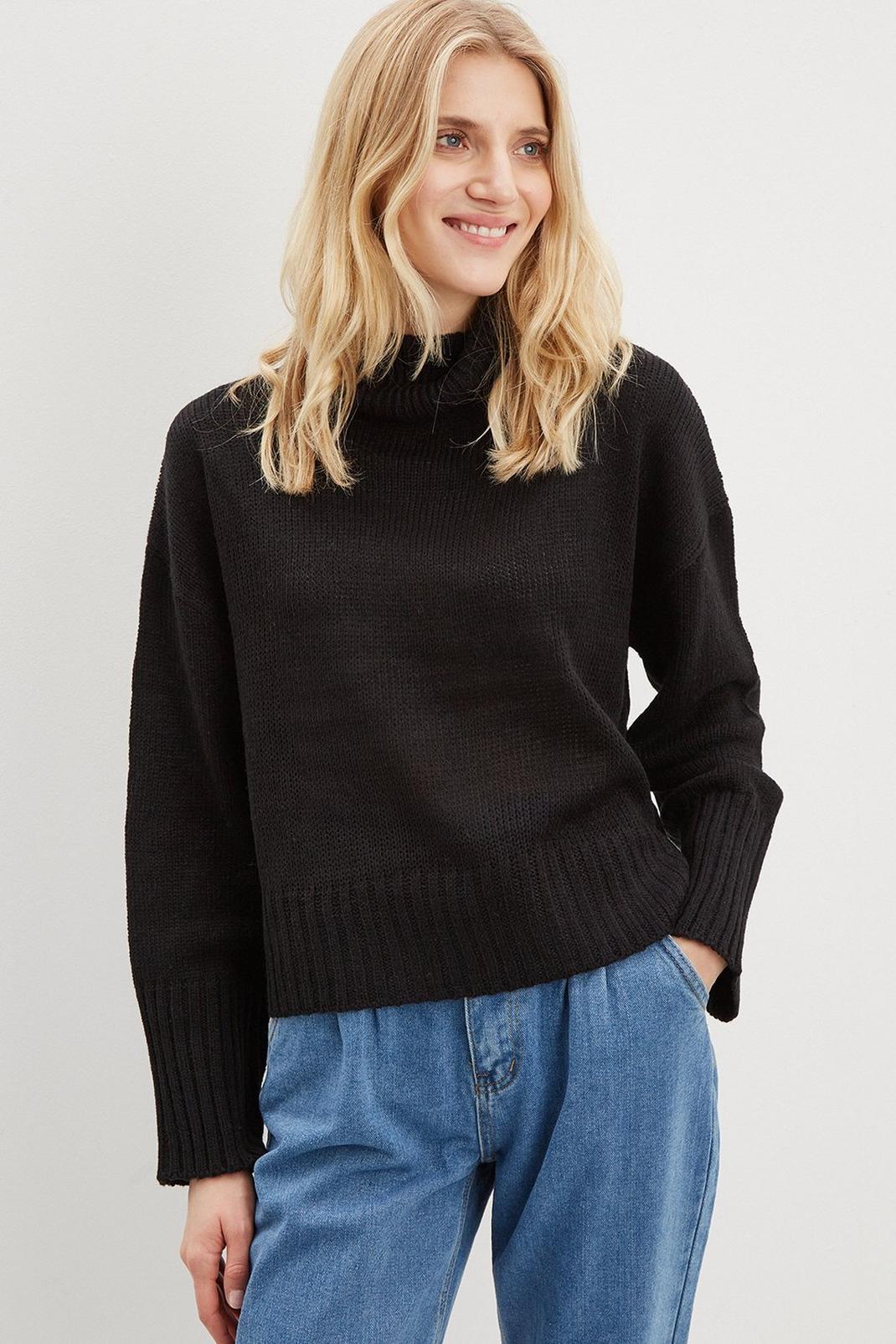 105 Roll Neck Slouchy Jumper  image number 1