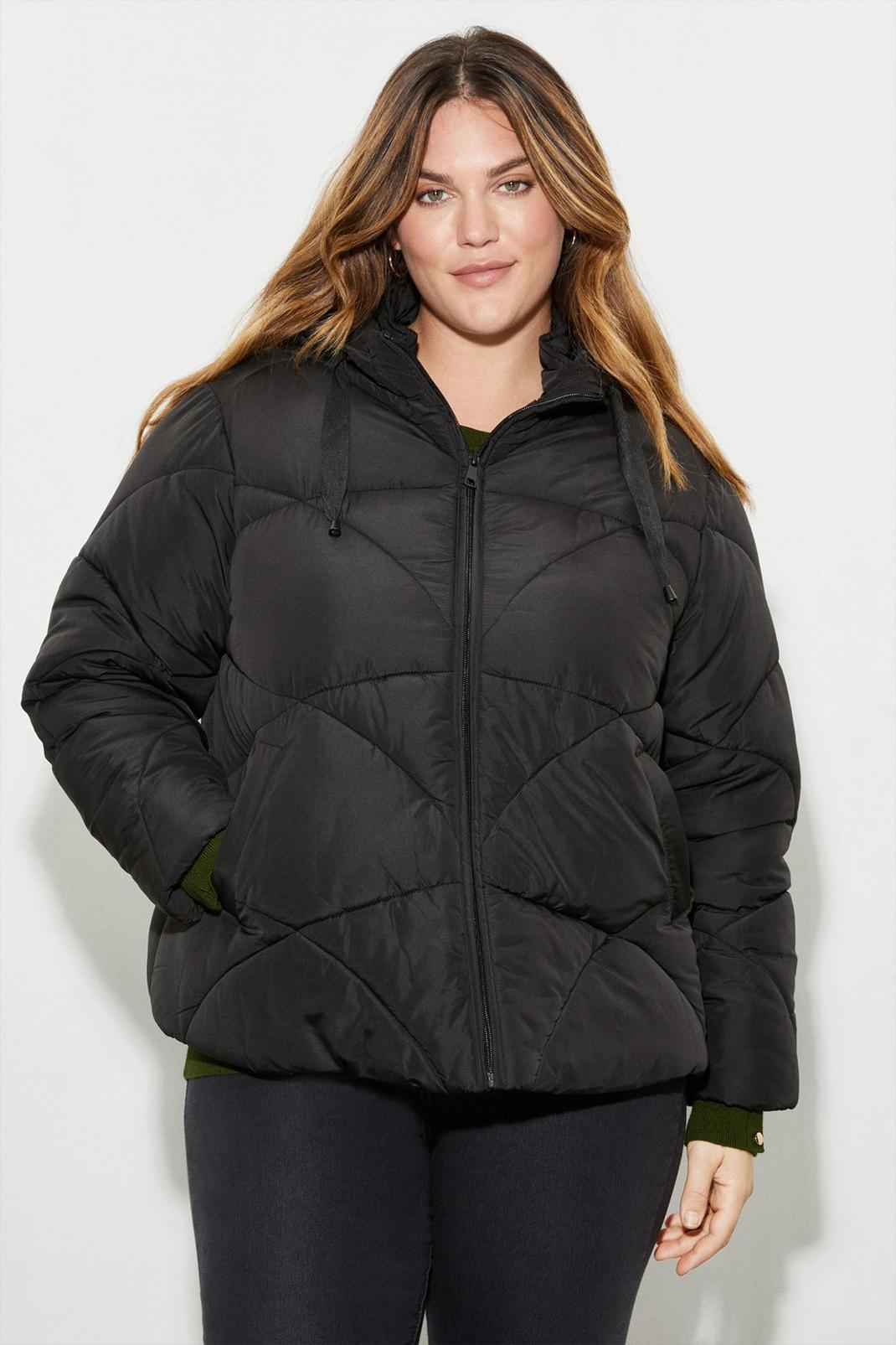 Black Curve Short Padded Coat With Contrast Trims image number 1