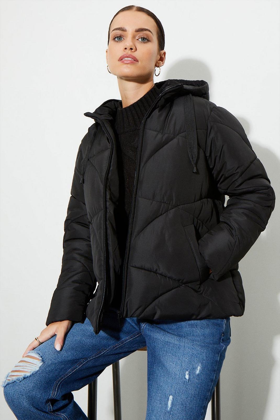 Black Petite Short Padded Coat With Contrast Trims image number 1