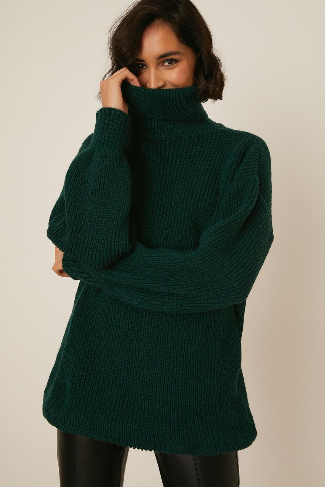 Forest Tall Roll Neck Jumper image number 1