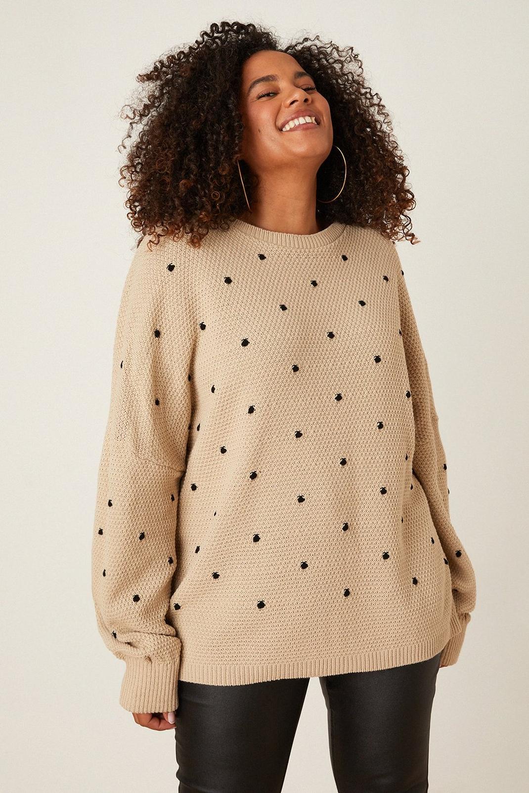 Cream Curve  Embroidered Spot Knitted Jumper image number 1