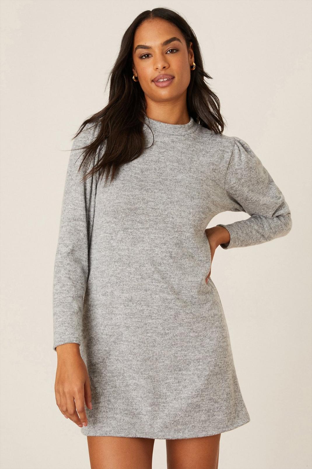 Grey Petite Soft Touch Long Sleeve Mini Dress image number 1