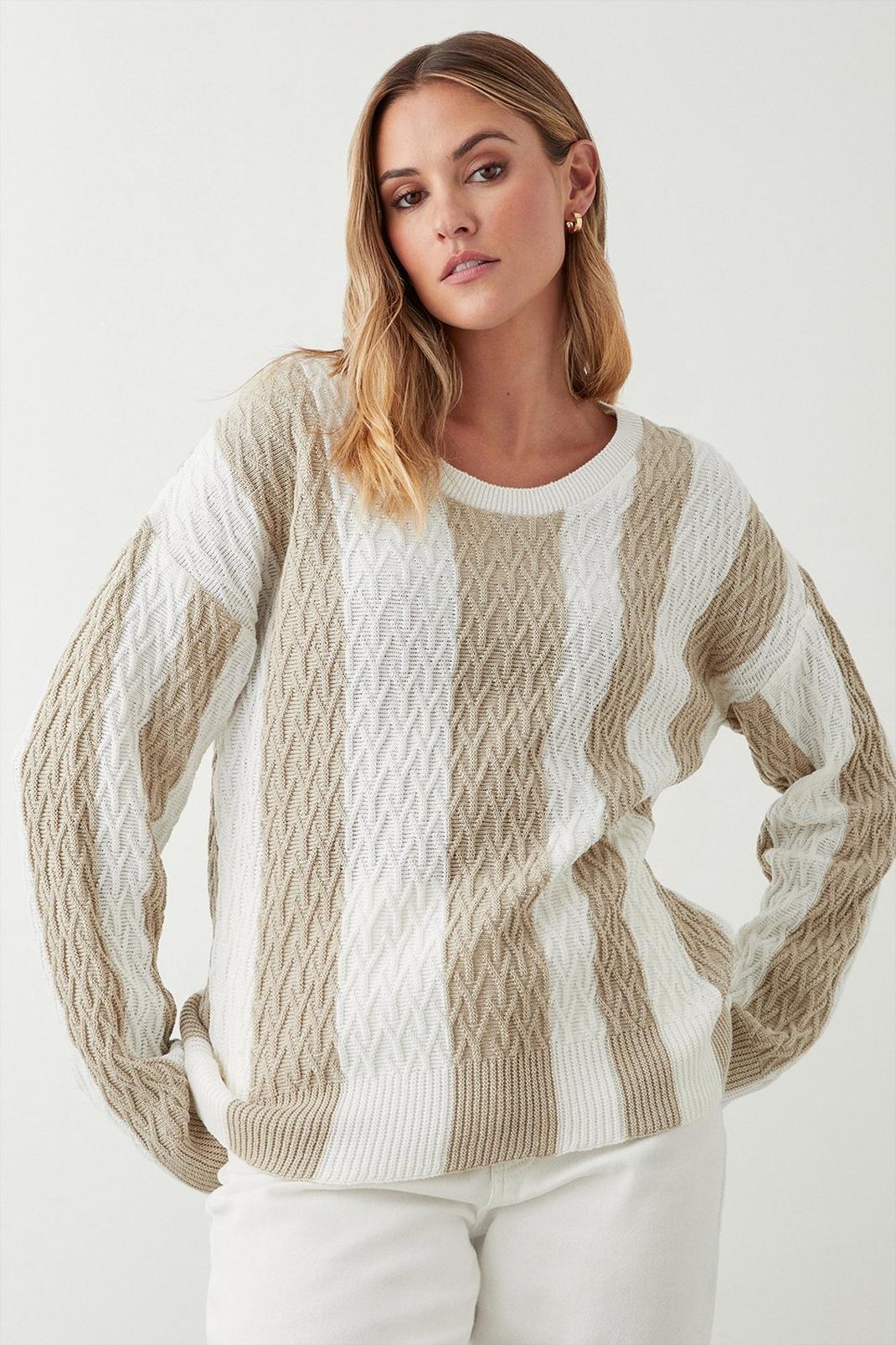 Neutral Stripe Cable Knitted Jumper image number 1
