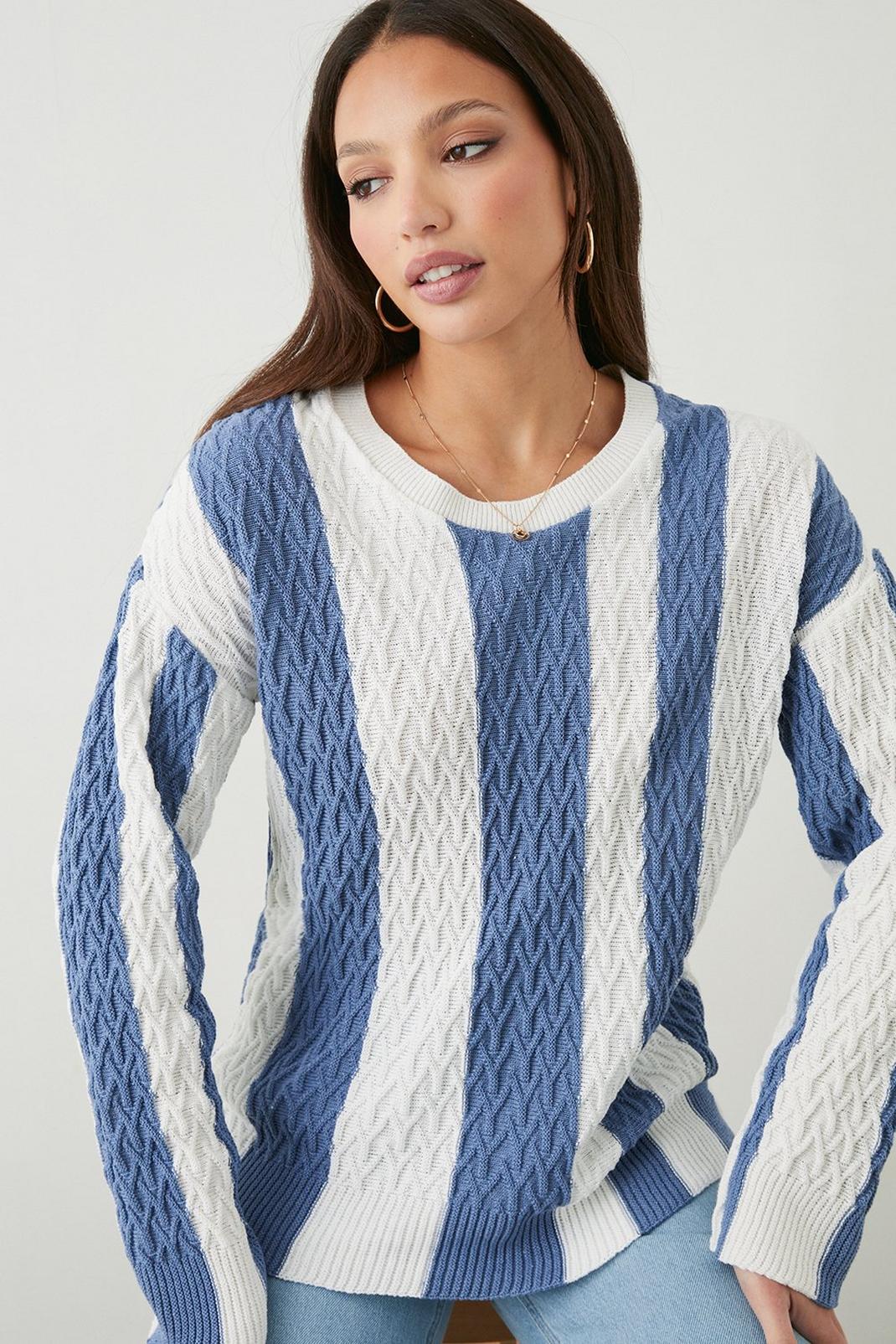 Blue Tall Stripe Cable Knitted Jumper image number 1